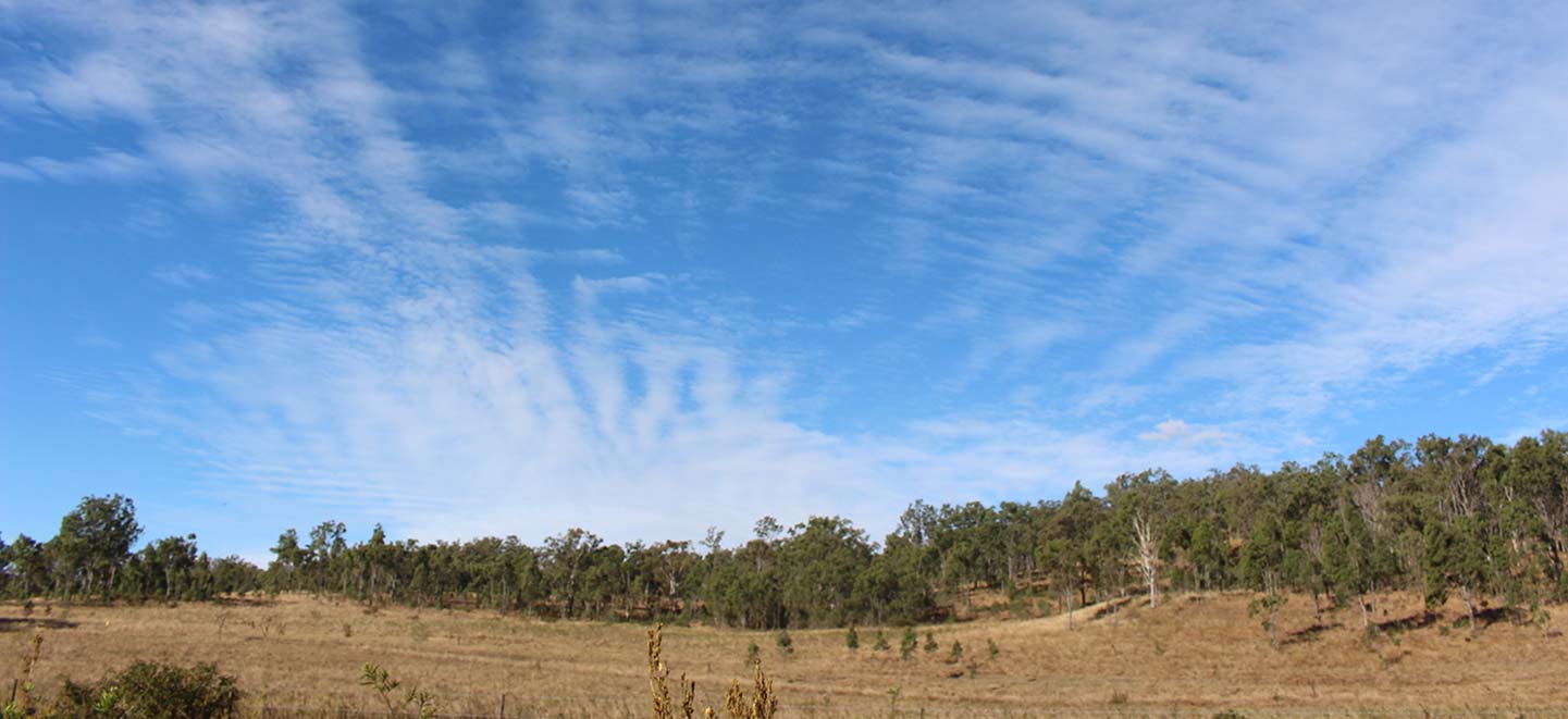 Winter sky over the paddocks